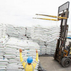 Exportación de harina a Haití genera US$141 millones