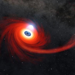 Inusual visión de un agujero negro comiéndose una estrella