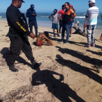 Rescatan 3 personas arrastradas por remolino en playa Costambar