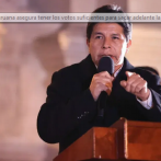 Congresistas de Perú proponen anular la moción de censura que destituyó a Pedro Castillo