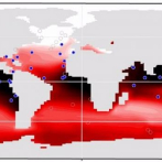 Predicen 'zonas muertas' en el Atlántico Norte por el calentamiento