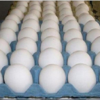 Productores piden Abinader revocar suspensión de exportación de huevos a Haití