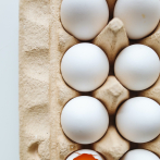 Avicultores consideran que prohibir exportación de huevos provocaría sobreoferta