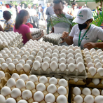 Deploran medida prohíbe huevos sean exportados