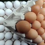 República Dominicana exporta 40 millones de huevos mensuales