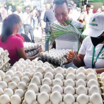 Seguirá detenida la exportación de huevos hacia Haití