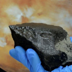 Compuestos orgánicos inéditos en un meteorito marciano