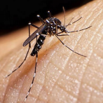 Diez niños internos por el dengue