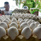 Gobierno levanta traba a expotación de huevos