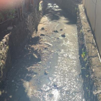 Aguas residuales mantiene en zozobra residentes del municipio Los Alcarrizos