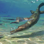 Nueva especie fósil de un antiguo ancestro del cocodrilo