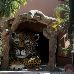 Desaparecen, venden y sacrifican a animales de zoológico del sur de México