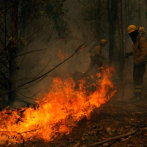 Incendios forestales en Chile no ceden y dejan ya 22 muertos