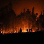 Incendios han causado muerte de 24 personas en Chile