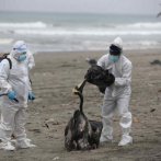 Unos 585 lobos marinos y 55.000 aves han muerto por la gripe aviar en Perú