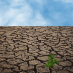 Ante crisis climática: urge desarrollar soluciones de adaptación