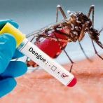 Perú declarará emergencia sanitaria por brote de dengue en 13 regiones