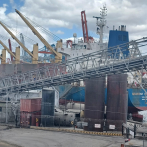 Denuncian robo de 375 toneladas métricas de harina de soja del puerto de Haina Occidental