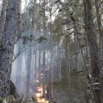 Cierran Valle Nuevo por incendio forestal