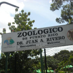 Puerto Rico clausurará su único zoológico tras permanecer seis años cerrado al público