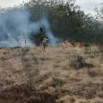 Brigadas continúan intentando sofocar incendio forestal Valle Nuevo
