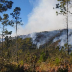 Aun sin sometimientos por incendio forestal en Valle Nuevo