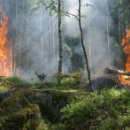 El incendio forestal activo en Cuba ha afectado a cerca de 3.600 hectáreas