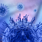 Los contagios y muertes por coronavirus siguen reduciéndose en todo el mundo, según la OMS