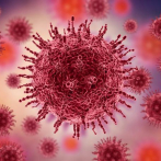 La OMS insiste sobre el origen del coronavirus: 
