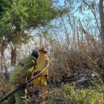 Medio Ambiente afirma controlan fuego Valle Nuevo