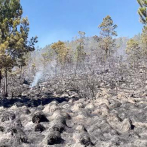 Bomberos forestales exigen mayor condena a culpables de incendios