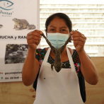 Las ranas experimentan auge gastronómico en sur de México ante la Cuaresma