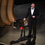Un burro y un oso gigante: Las anécdotas de la 95 gala de los Óscar