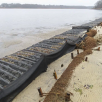 Curiosidades: Cómo los cocos protegen la costa de Jersey