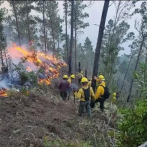 Incendios dañan foresta en el Cibao