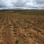 Inundaciones y sequías: lo que le espera a Latinoamérica en materia climática