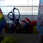 Adolescente de Florida estrena película de visibilidad trans a pesar de prohibiciones