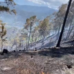 Incendios forestales en Jarabacoa han consumido unas 400 tareas de zona montañosa