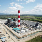 Gobierno crea la Empresa de Generación Eléctrica Punta Catalina (Egepc)