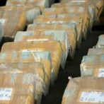 Desaparecen de una comisaría 16 kilos de cocaína en Argentina