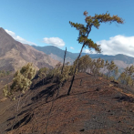 Parque nacional diezmado por fuego será recuperado