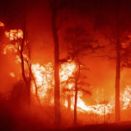 Se incendian los pinos de Nueva Jersey: Grandes llamas y lluvia de brasas