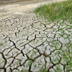 Más sequía puede alterar los microbios del suelo que capturan carbono