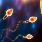 Hallan un gen que podría ser clave como anticonceptivo masculino