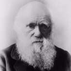 Ocho citas para recordar a Charles Darwin, quien murió hace 142 años