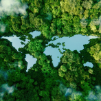 Día Internacional de la Madre Tierra: hace falta acelerar la acción climática