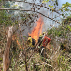Bomberos avanzan en el control del incendio forestal en Saltos de Jima