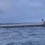 Incautan el narcosubmarino más grande en la historia de Colombia
