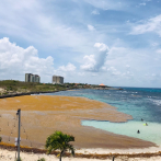 Investigan cómo extraer fármacos del sargazo que invade playas dominicanas