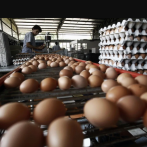 Productores huevos piden revocar cierre de frontera